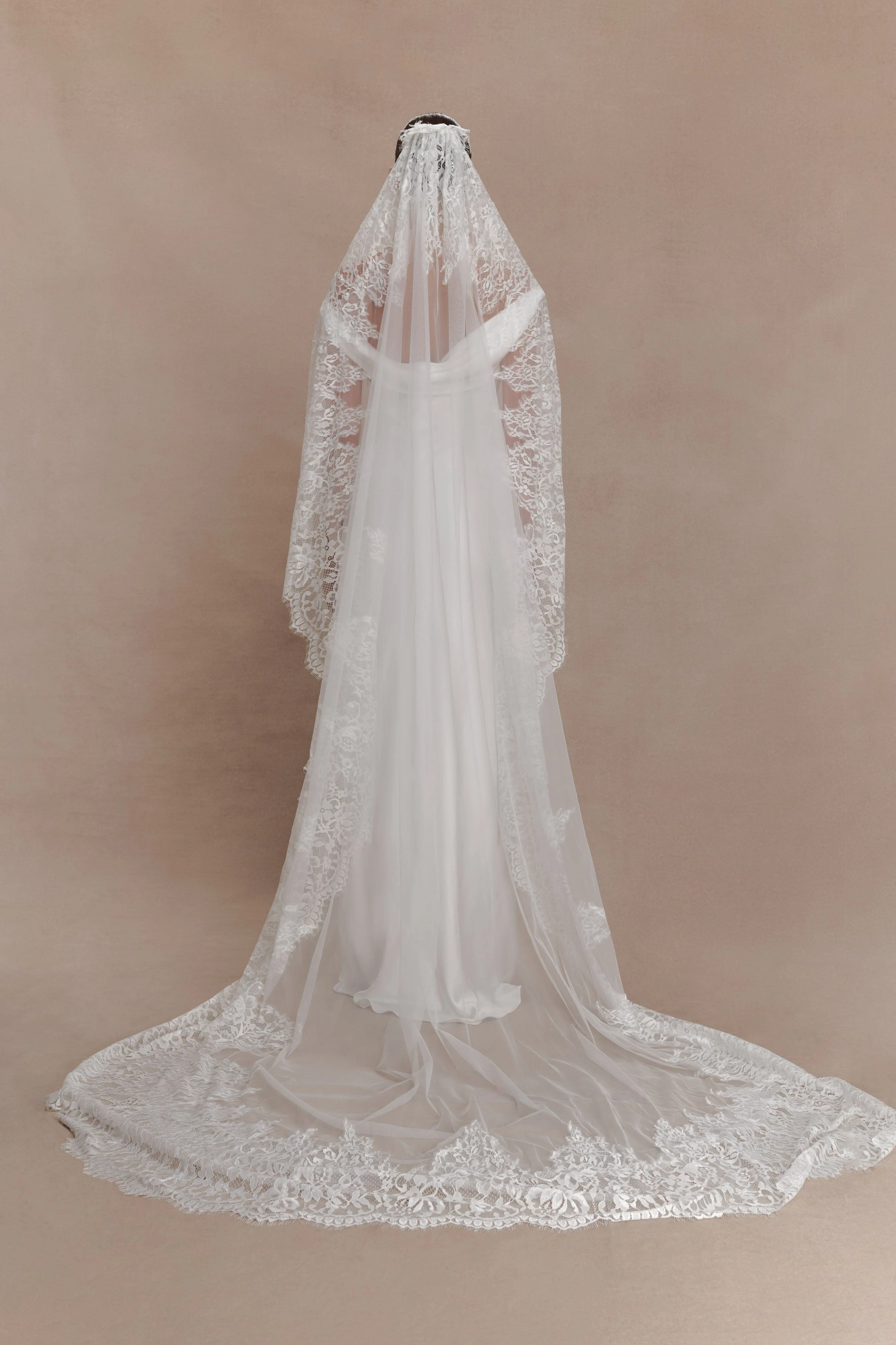 Cassia Lace Trim Veil - White - Image 2